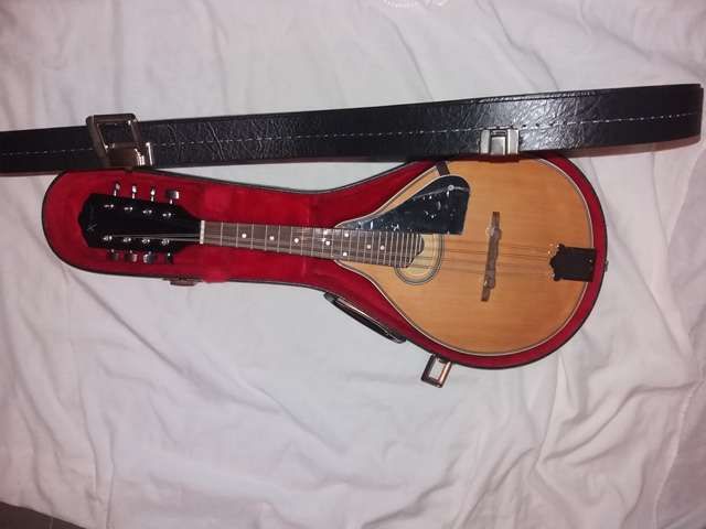 Bandolim de madeira e estojo