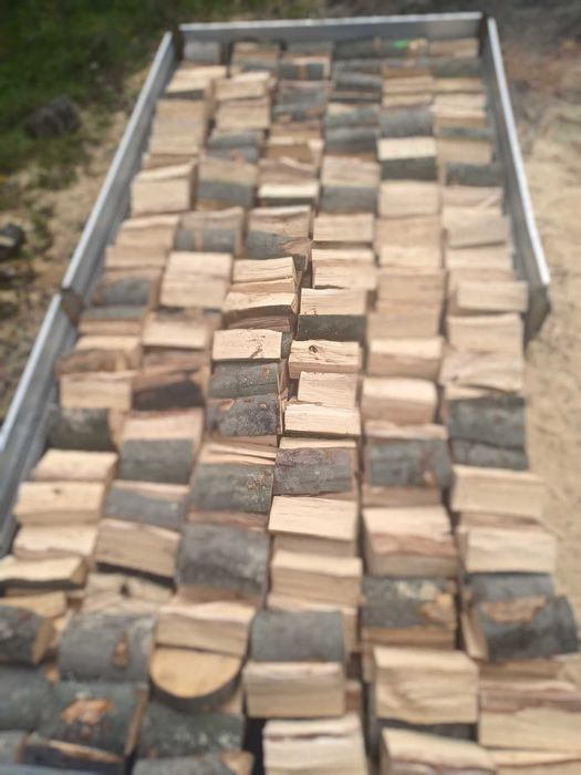 Drewno kominkowe buk