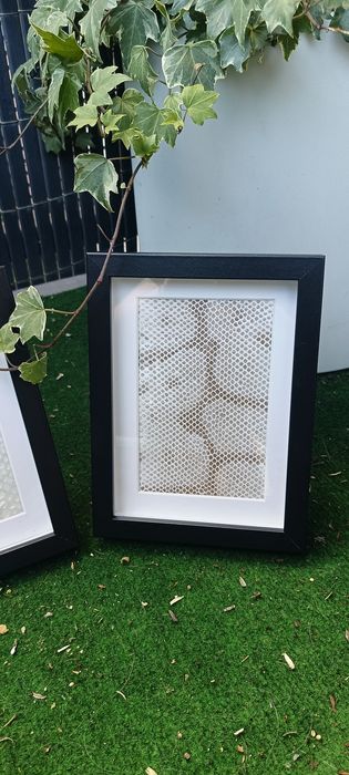 Ramki ze skórą węża 13 x 18 cm