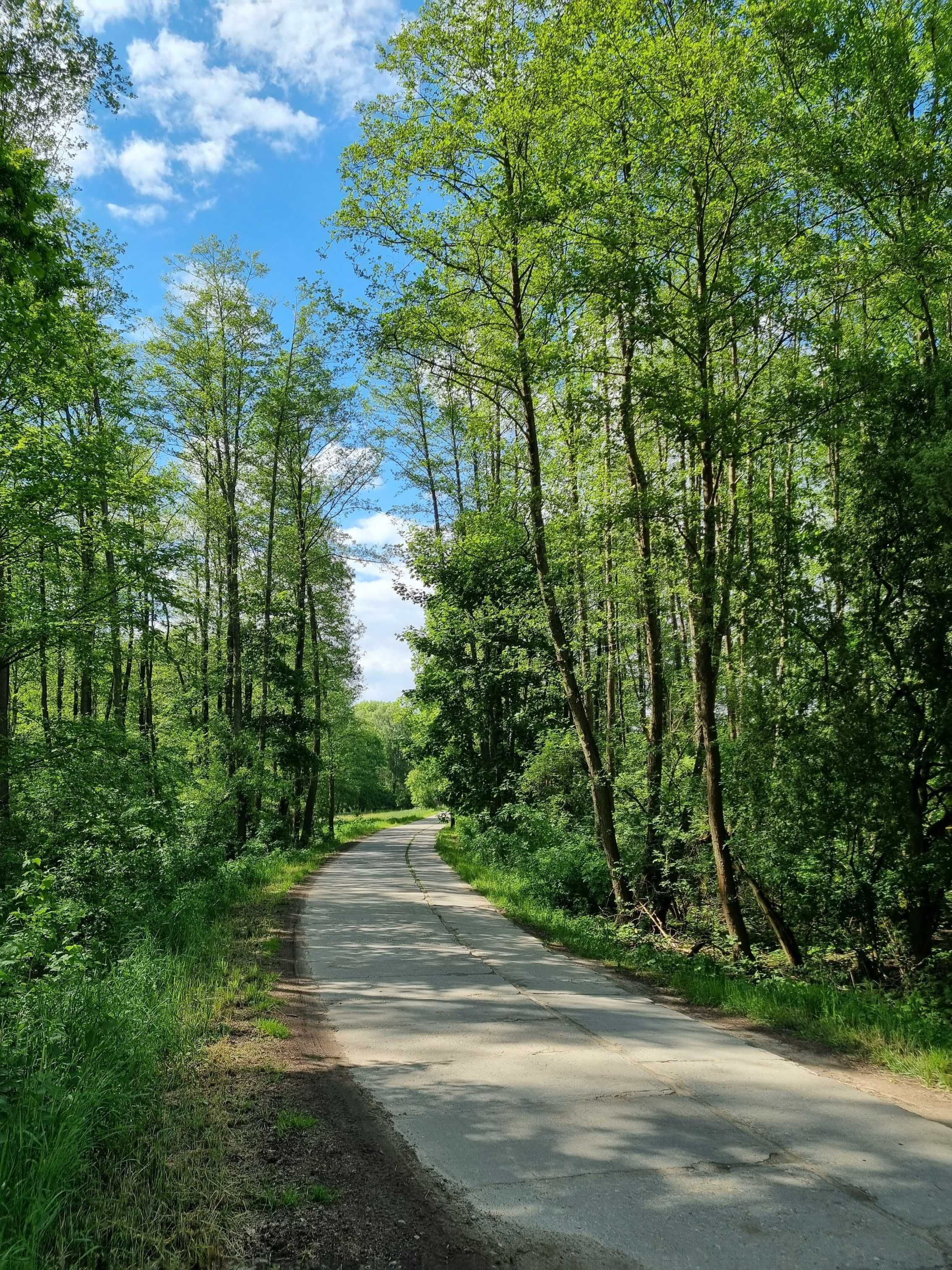 Działka 3000m2 Sława Wlkp. / Potrzanowo