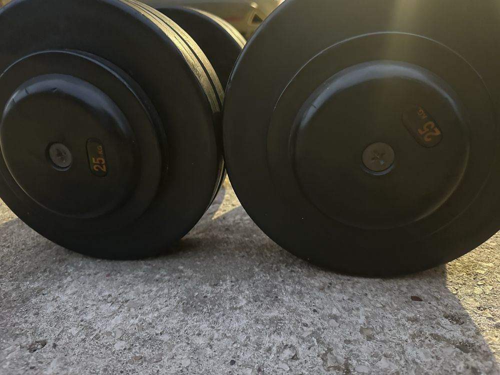 Halteres de 25kg aborrachados (par 50kg)