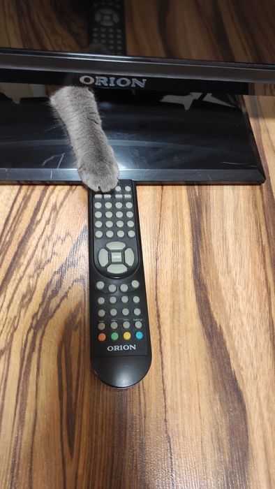 Телевізор ORION LED3254 - 32" (piano black)