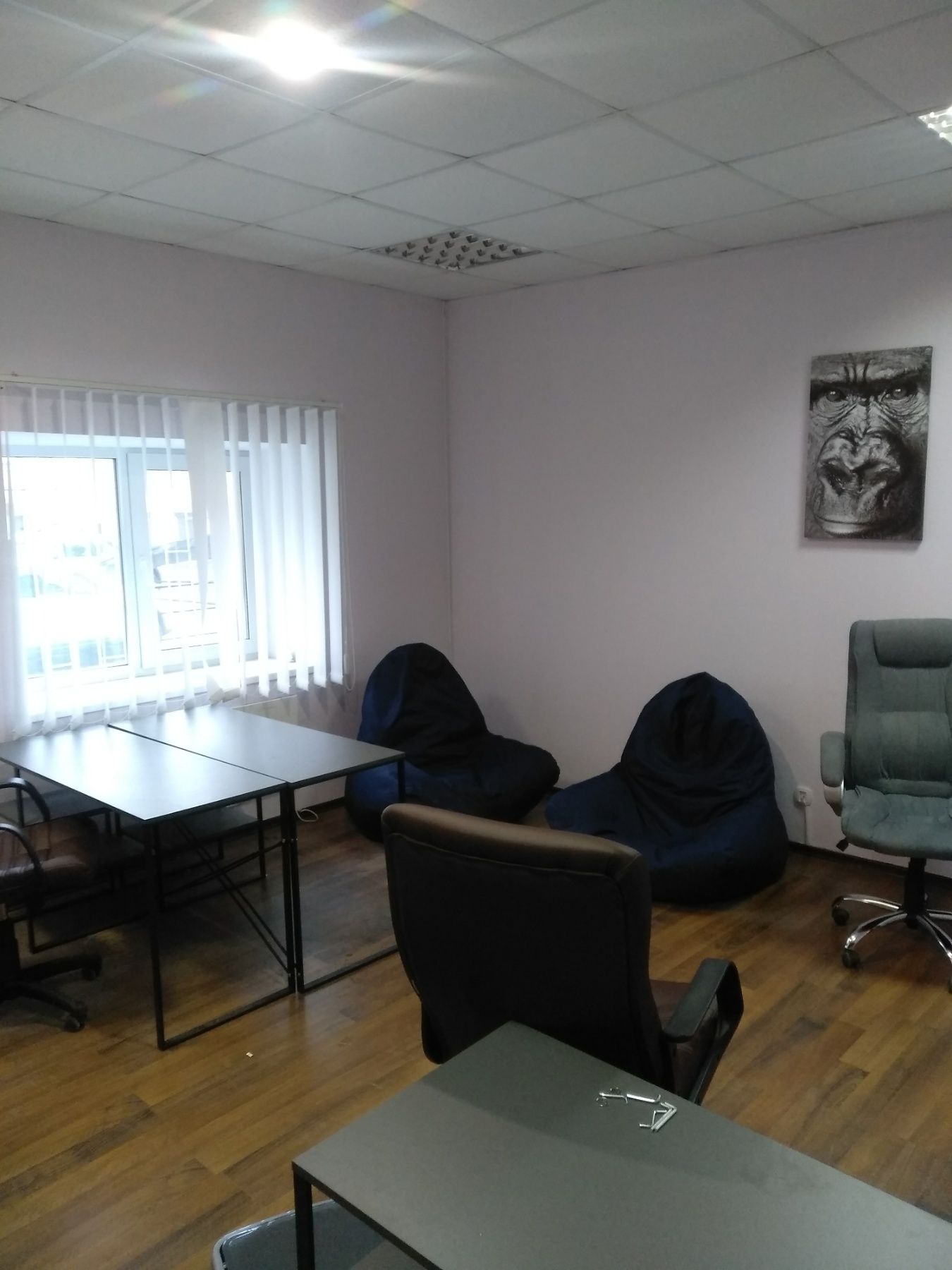 Без комиссии сдам офис центр Киева