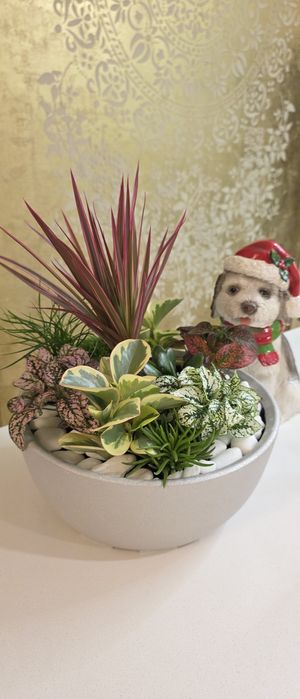 Stroik świąteczny. Prezent! Przygotuję dla Ciebie kompozycję na indywi