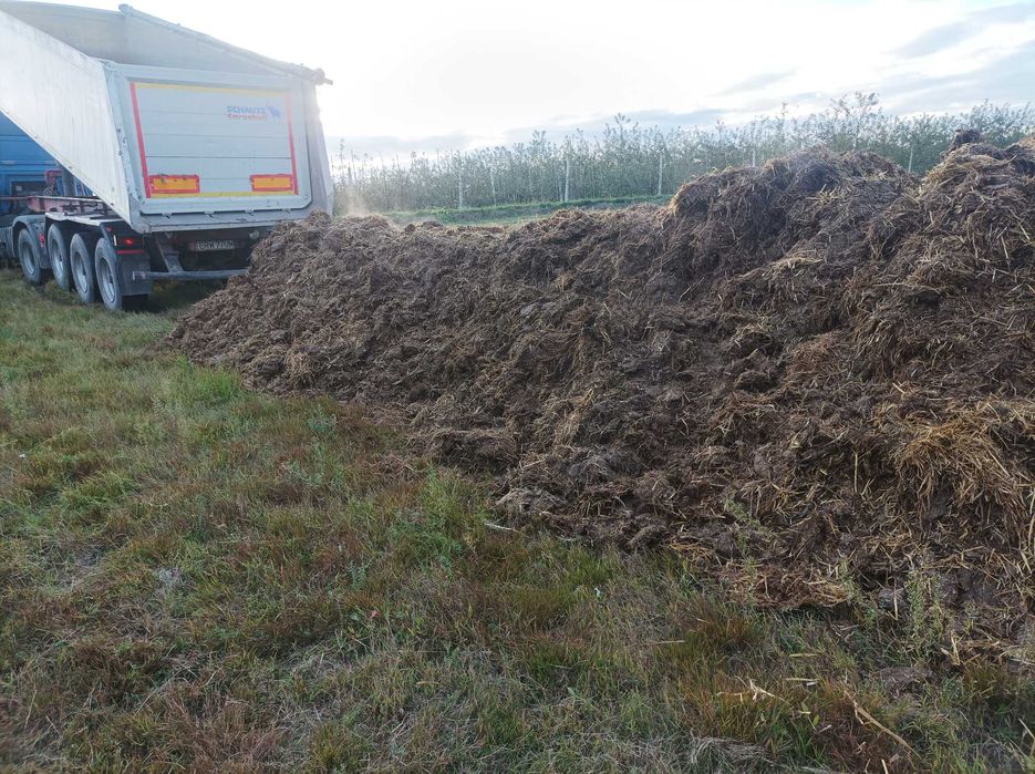 Obornik Bydlęcy Pomiot kurzy