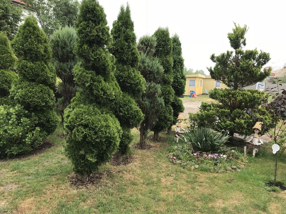 OKAZJA ! - NOCLEGI NAD MORZEM /  „Surga Apartament” w Ustroniu Morskim