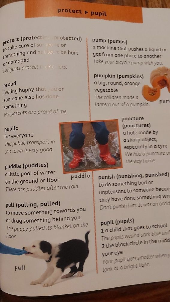 Słownik obrazkowy j. angielski dla dzieci