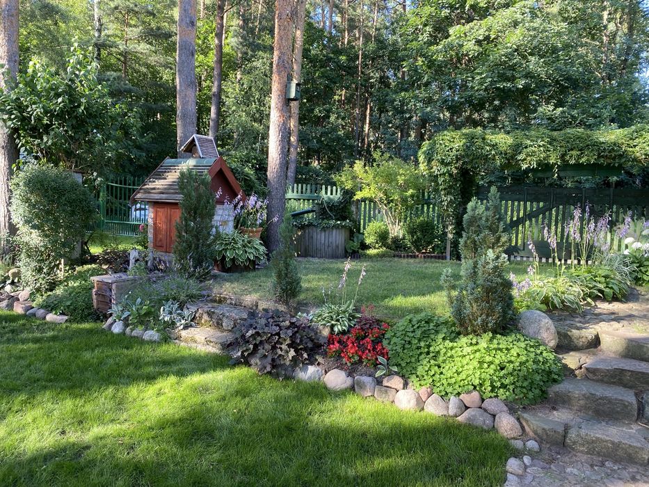 Wynajem domku letniskowego