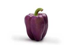 Pimento Roxo Zulu 10 sementes