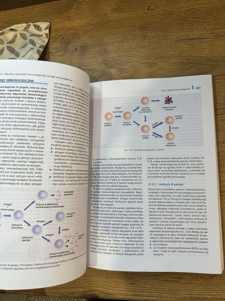Immunologia Gołąb