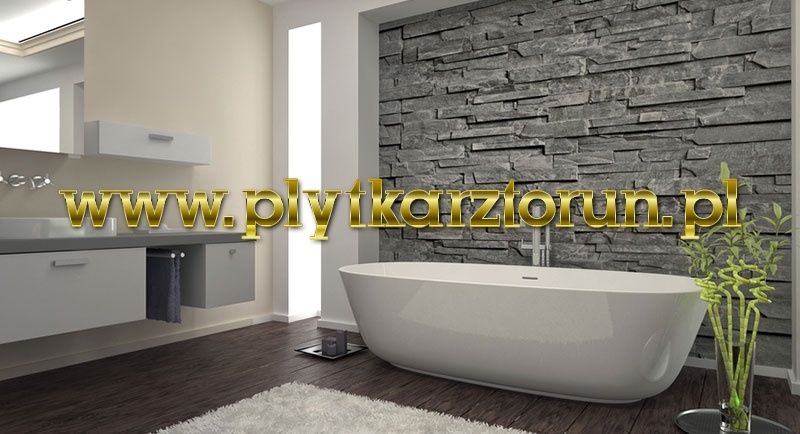 Płytkarz Glazurnik Kafelkarz