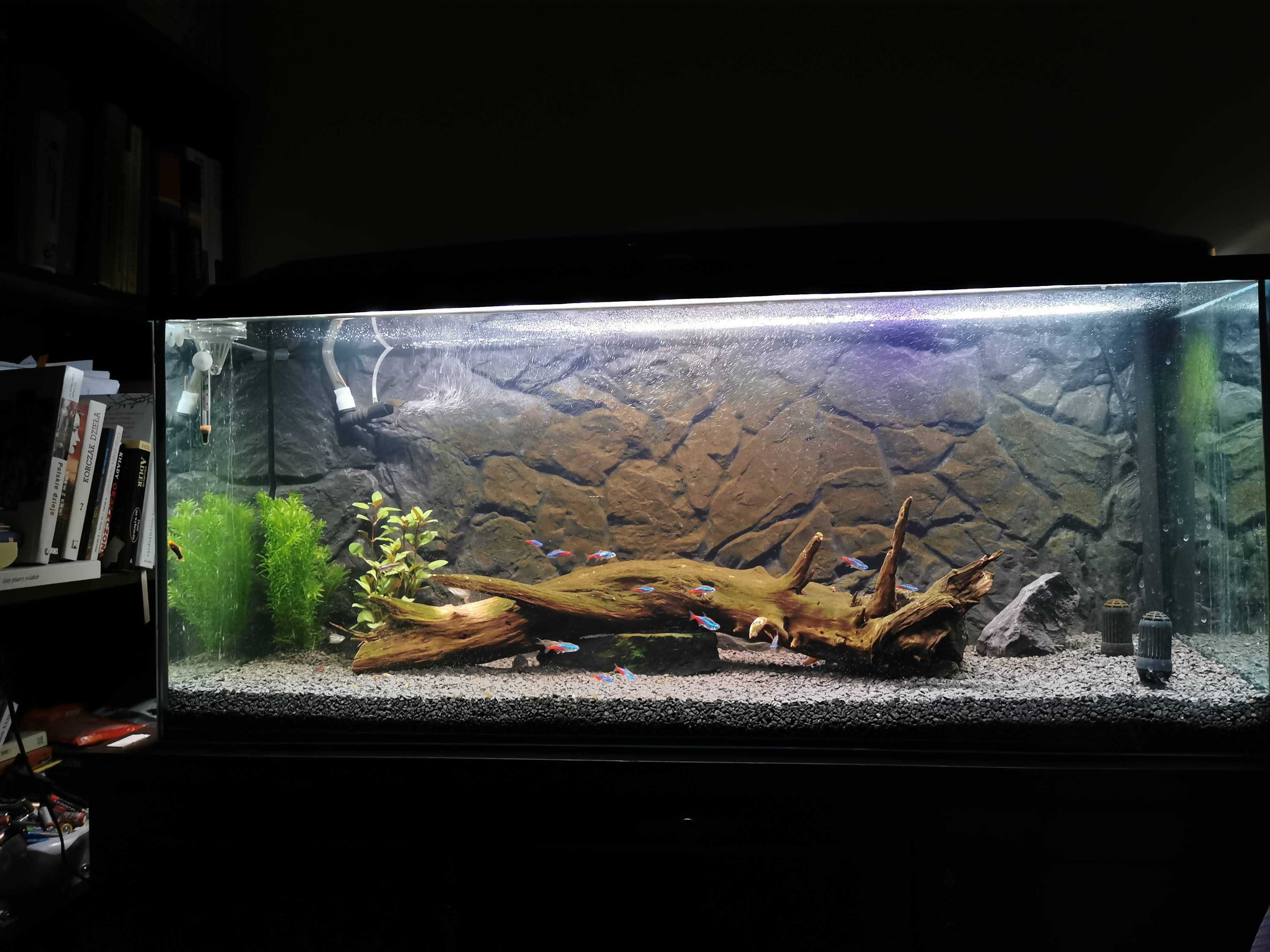 Akwarium 240L | rozmiar 120x40x50 + pokrywa + oświetlenie + tło 3D