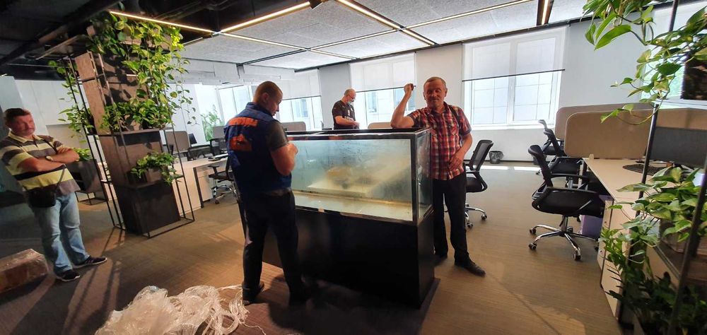 Грузоперевозки, переезды, доставка. Свой автопарк 2,3,5,7,10тон