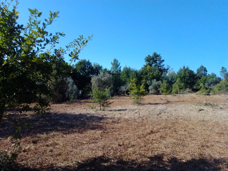 Quinta com casa para reconstrução