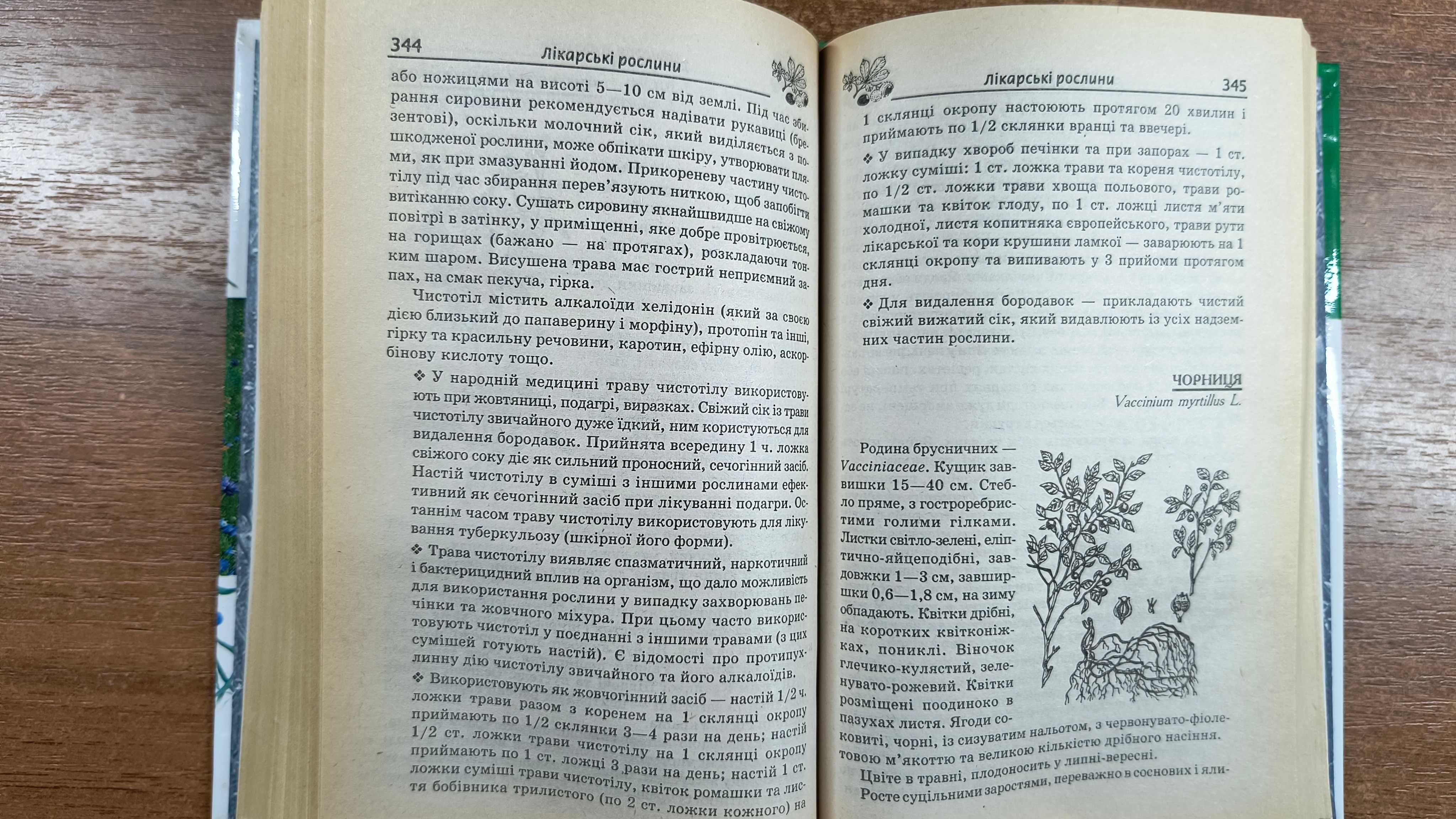 Сучасна енциклопедія лікарських рослин 5000 порад (Преображенський)