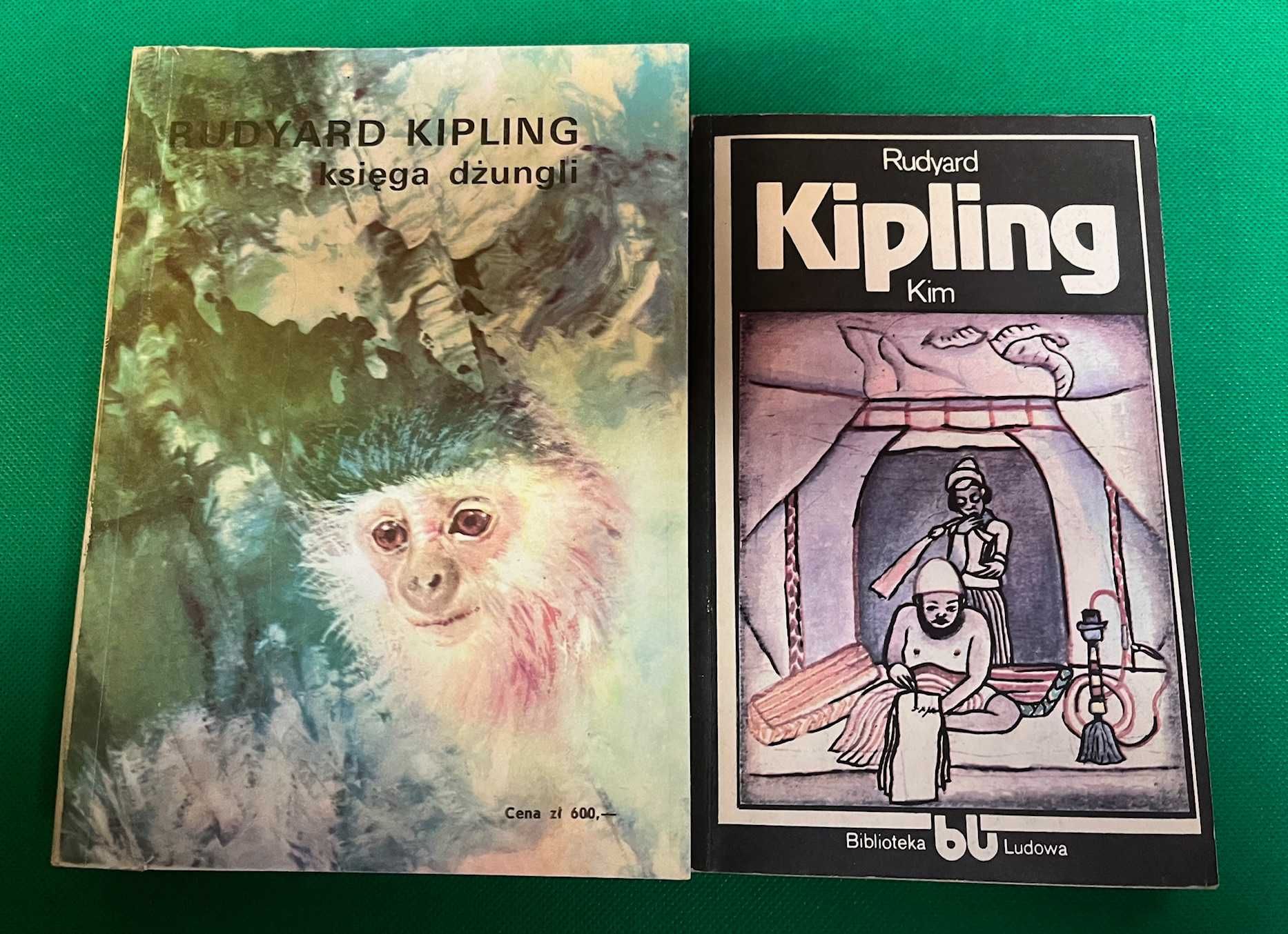 Rudyart Kipling Księga Dżungli, Kim
