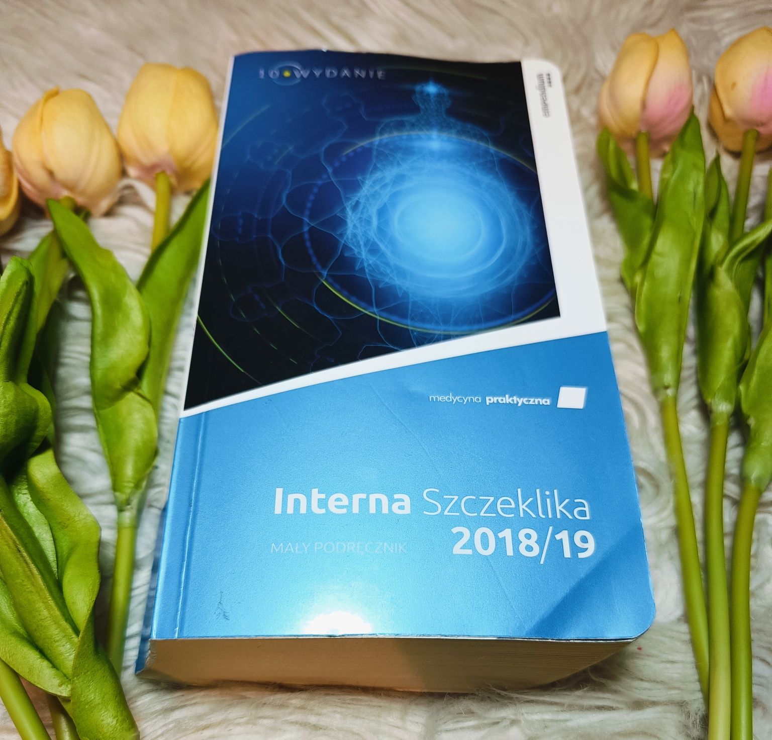 Książka Interna Szczelinka 2018/19