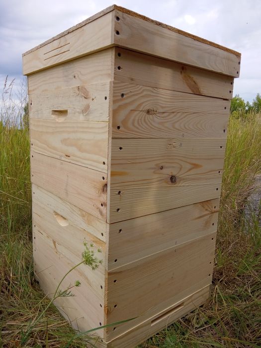 Вулик Дадан, вулики Дадан