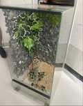 Terrarium 80x40x40