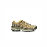 Кросівки Salomon XT-6 Gore-Tex Antelope/Icicle L47581000