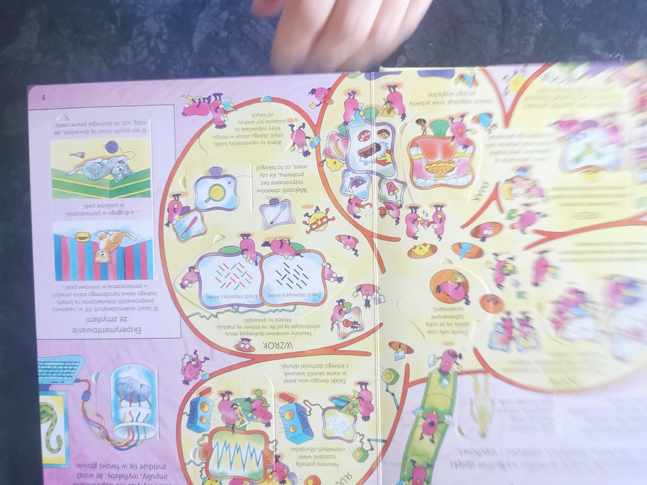 Książka sprawdźcie sami co się dzieje w mojej głowie ponad 80 okienek