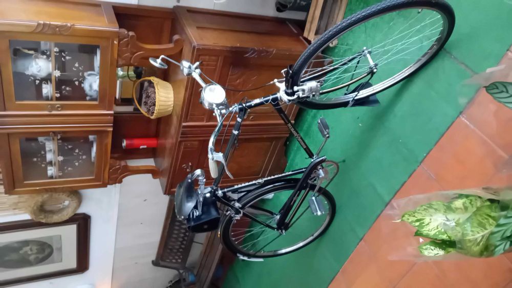 Bicicleta pasteleira  efs