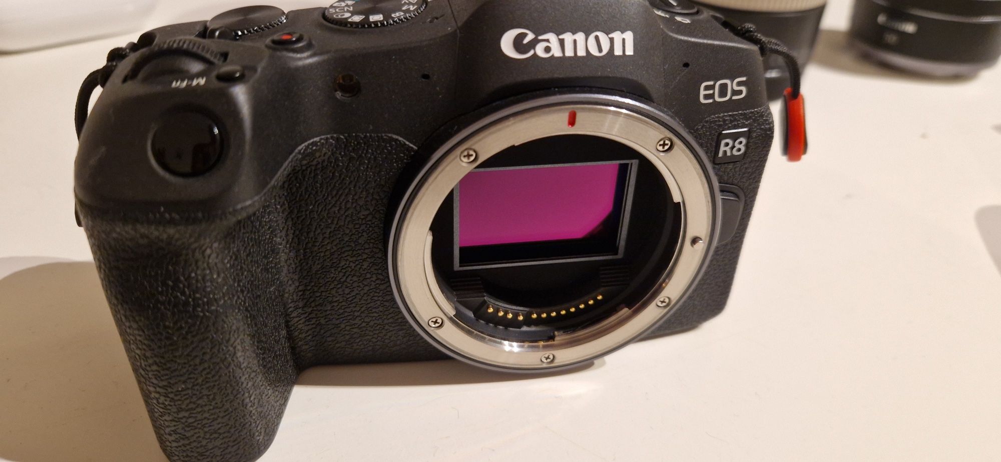 Canon R8  Full Frame + RF50MM1.8 (conjunto) Ler descrição