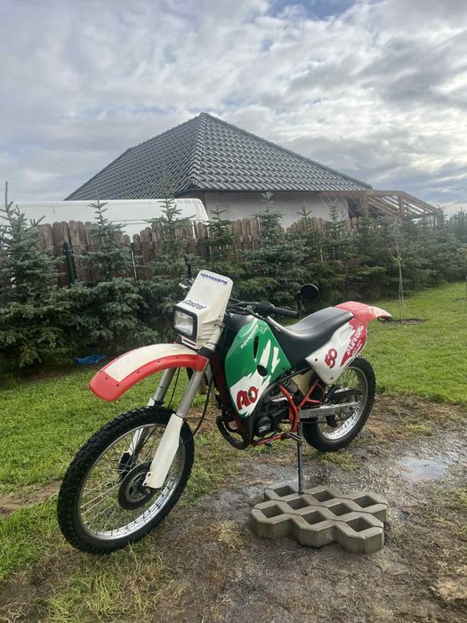 Cross Ducati Dakarino