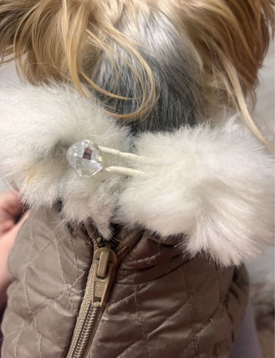 Комбинезон для собак одяг одежда животных