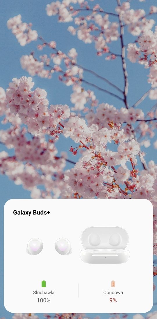 Samsung Galaxy Buds+ SM-R175