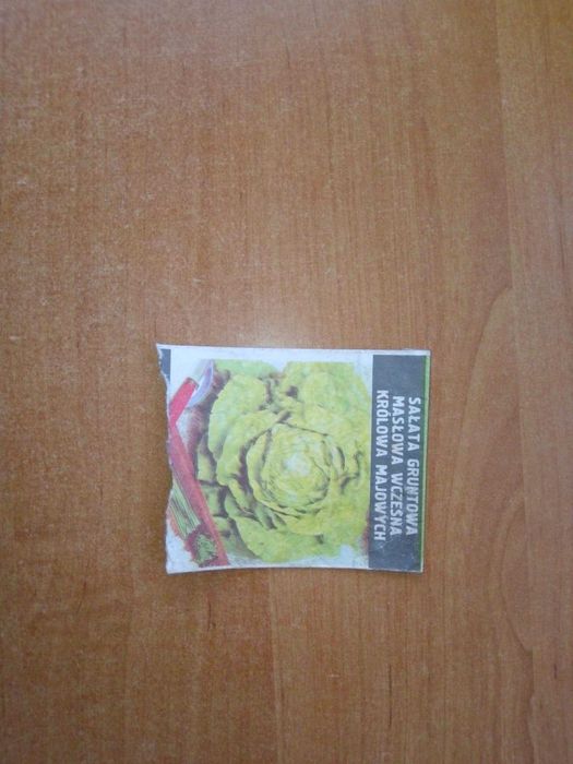 Nasiona sałaty sałata gruntowa masłowa wczesna puste opakowanie PRL