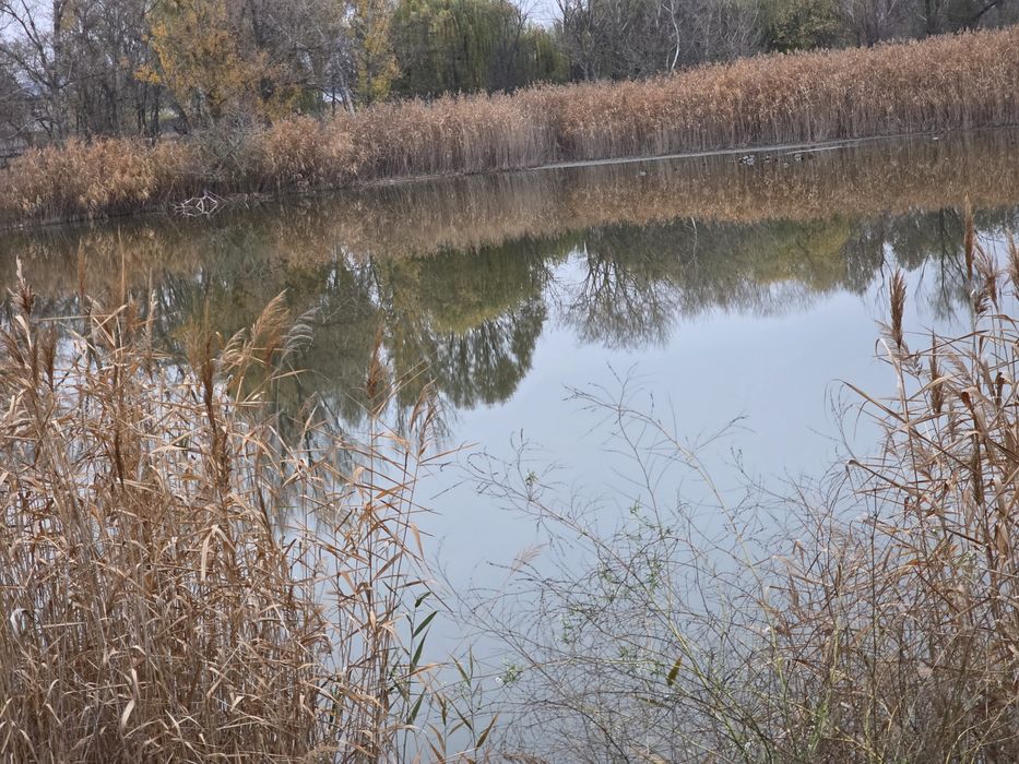 С бомбоубежищем. Читайте до конца. Левый берег. Сдам с ремонтом, гараж