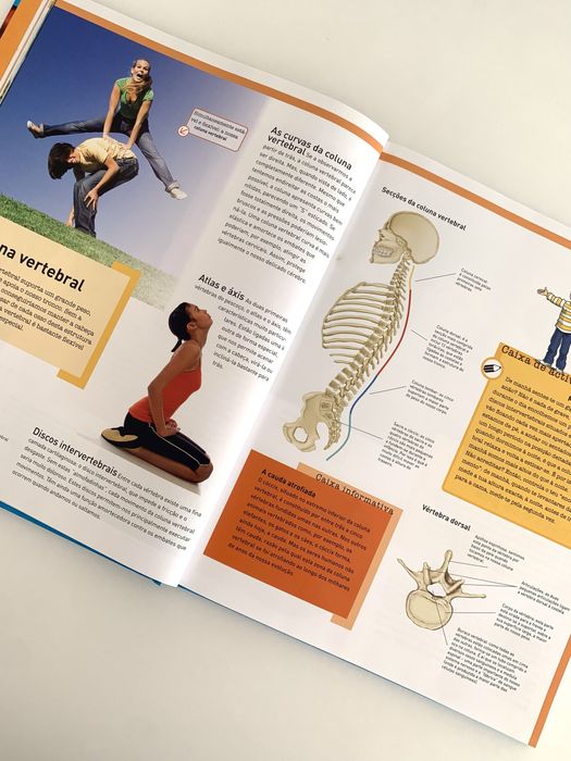 Livro / Manual O Nosso Corpo