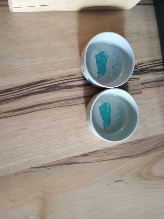 Klatka dla świnki morskiej