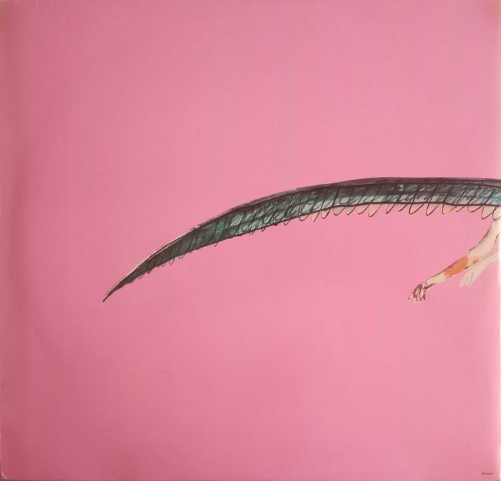 José Afonso	- - - - -		Com as Minhas Tamanquinhas	- - - - -	LP