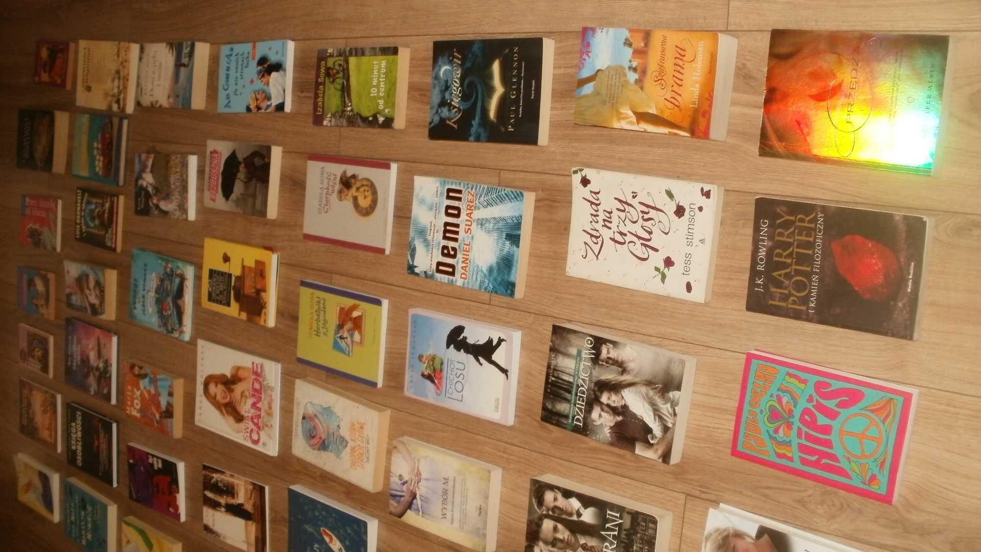 John Green, I. Sowa i inni - olbrzymi zestaw książek