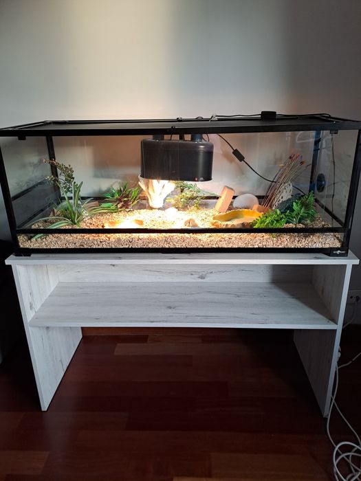Terrarium jak nowe