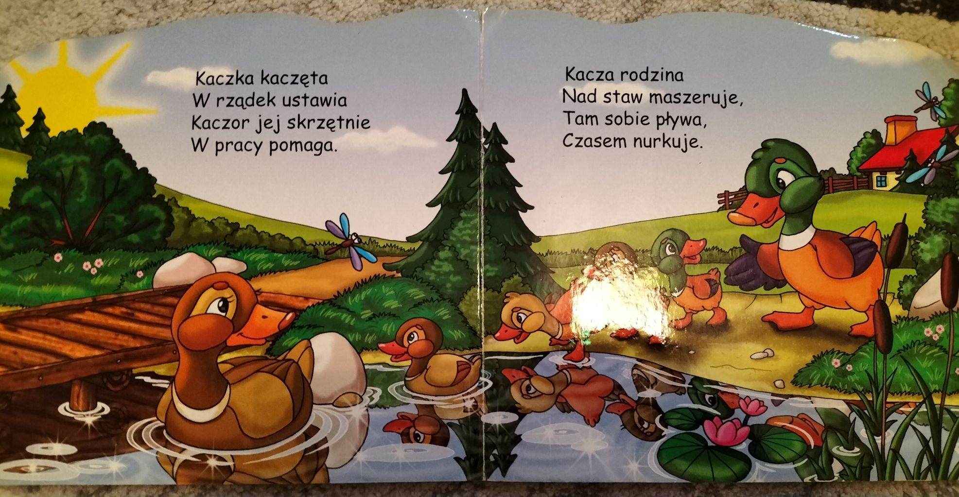 Książeczka "Zwierzęta i ich młode"