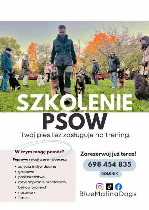 Trener psów Łódź, szkolenie psów, treser psów, behawiorysta