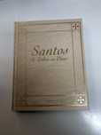 Livro Santos de todos os dias