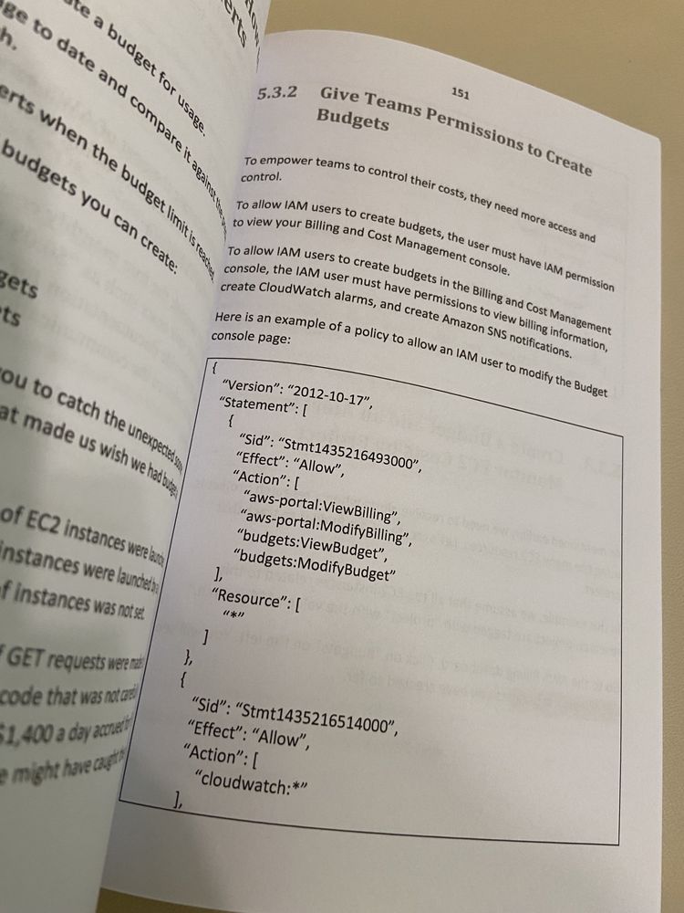 Książka book Cloud Cost Optimization Handbook for AWS Luo