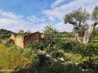 Terreno com ruína e com projeto aprovado para moradia térrea