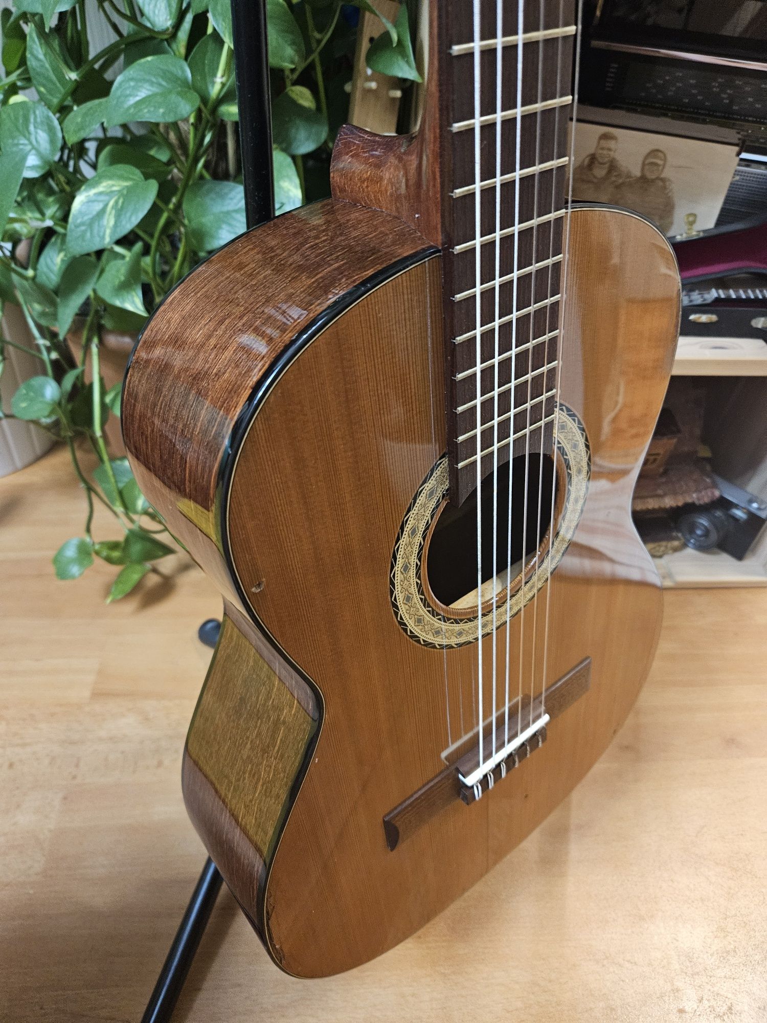 Gitara klasyczna Strunal 3/4