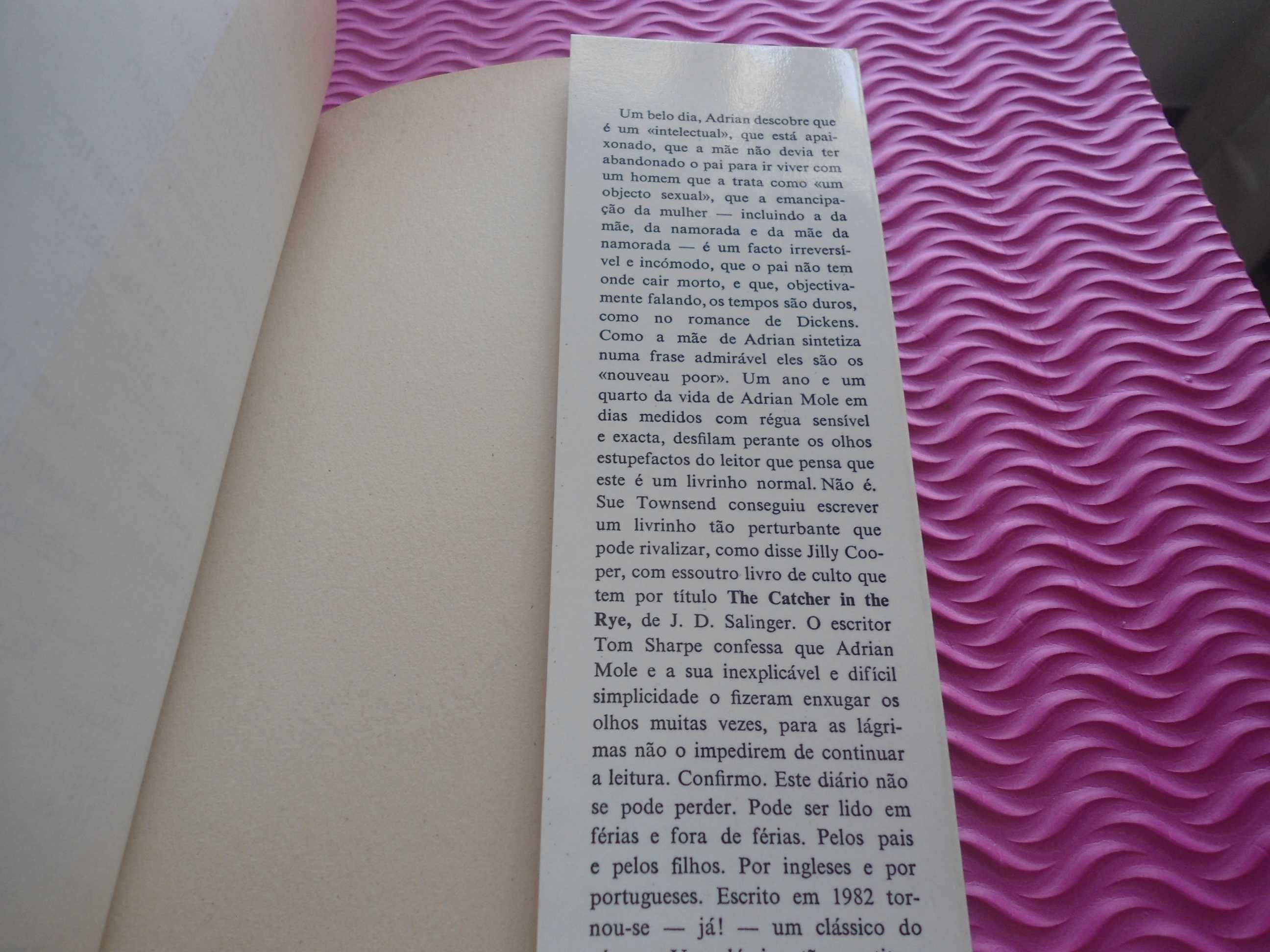 O Diário Secreto de Adrian Mole aos 13 anos e 3/4 de Sue Townsend