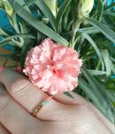 Pandora 585 14K Złoto pierścionek