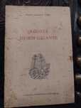 Agonia de uma Gigante - Maria Manuela Vieira