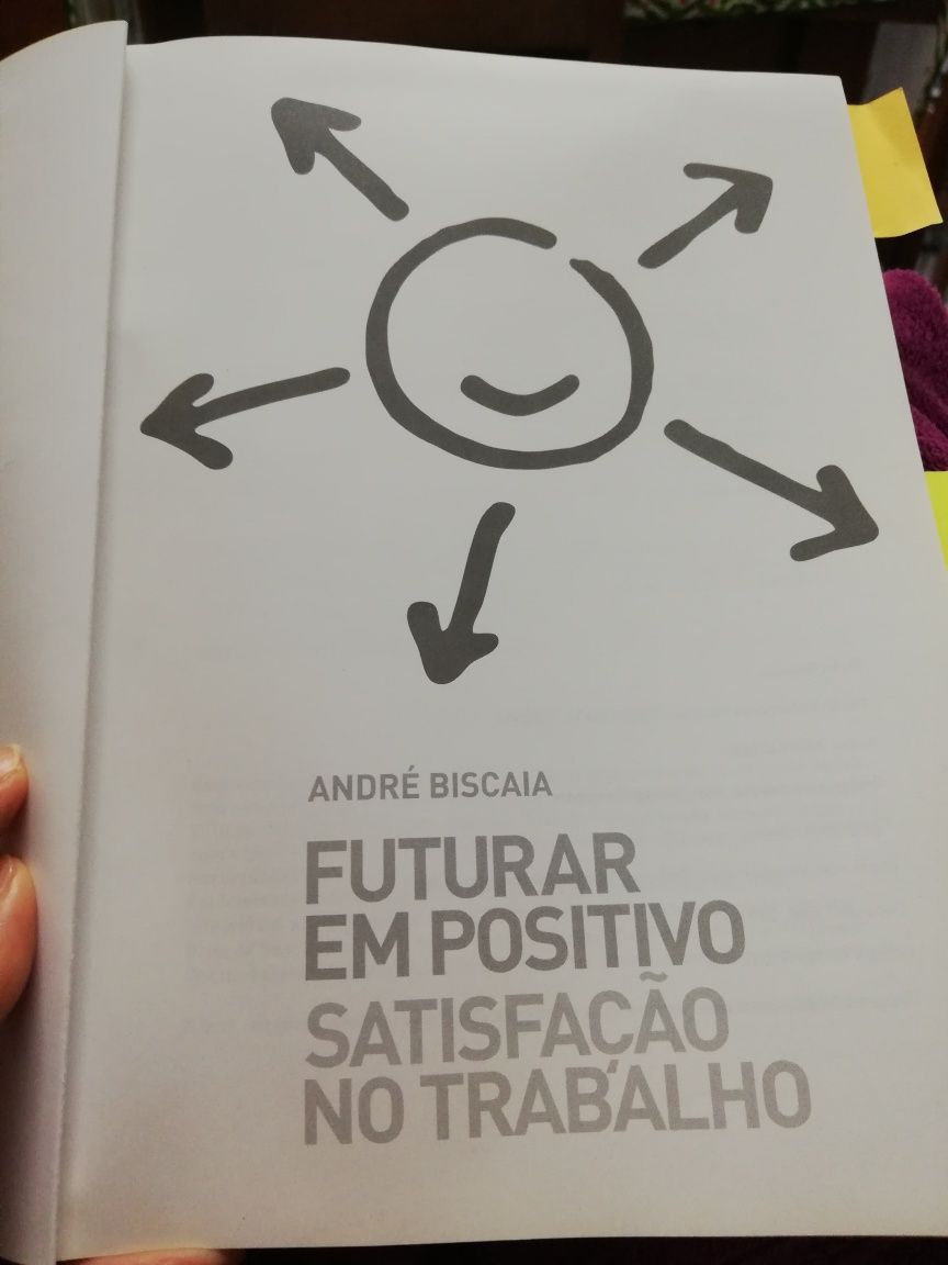 Livro Futurar em Positivo Satisfação no Trabalho (descida de preço)