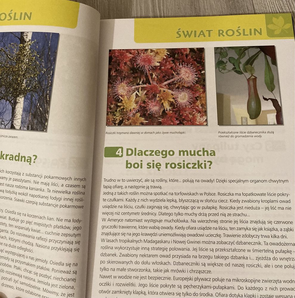 Książka Dlaczego… Odpowiedzi na pozornie łatwe pytania Michalak Anna