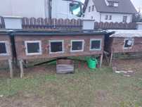 Klatki dla królików