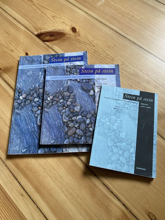 Stein på Stein - kurs języka norweskiego